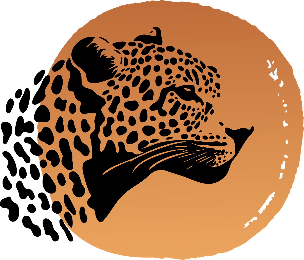 Nuu Atelier — the jaguar of the house